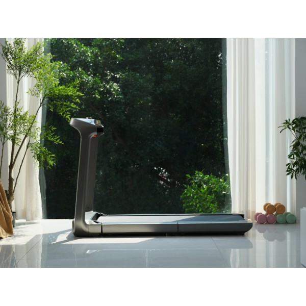 Фото - Беговая дорожка KingSmith WalkingPad Treadmill X218
